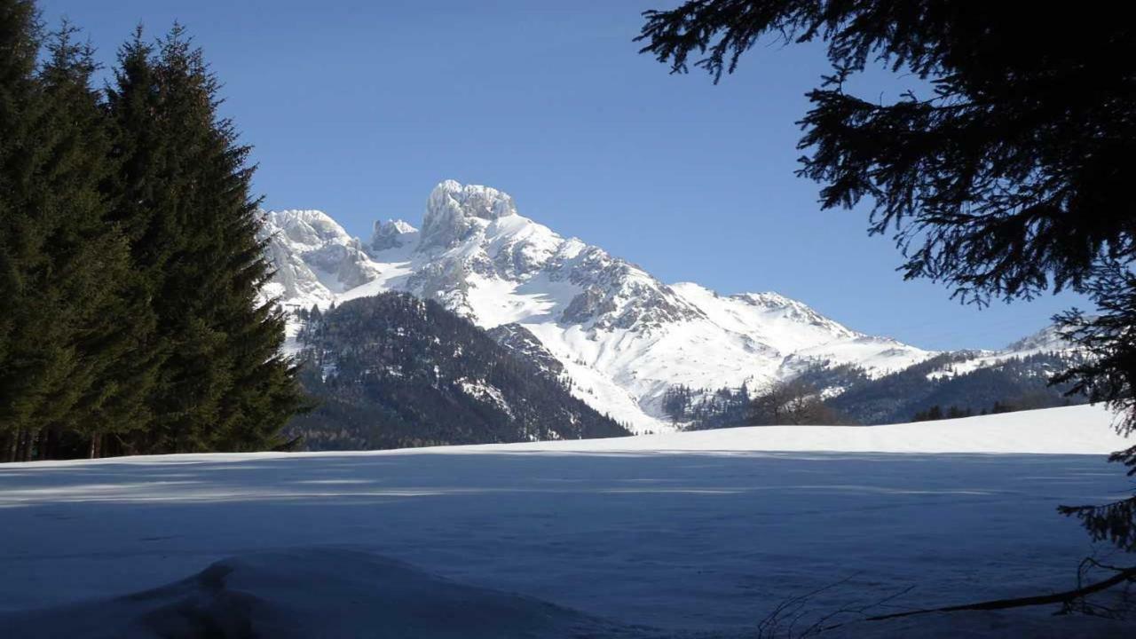 Berg Chalet 애나버그임라메탈 외부 사진